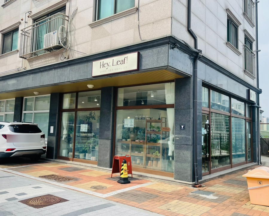 헤이리프 이미지