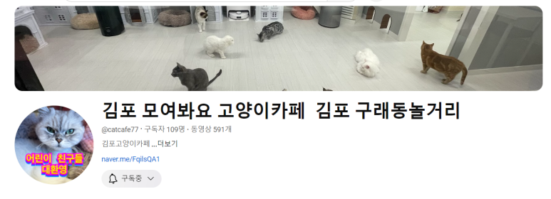 모여봐요 고양이카페 이미지