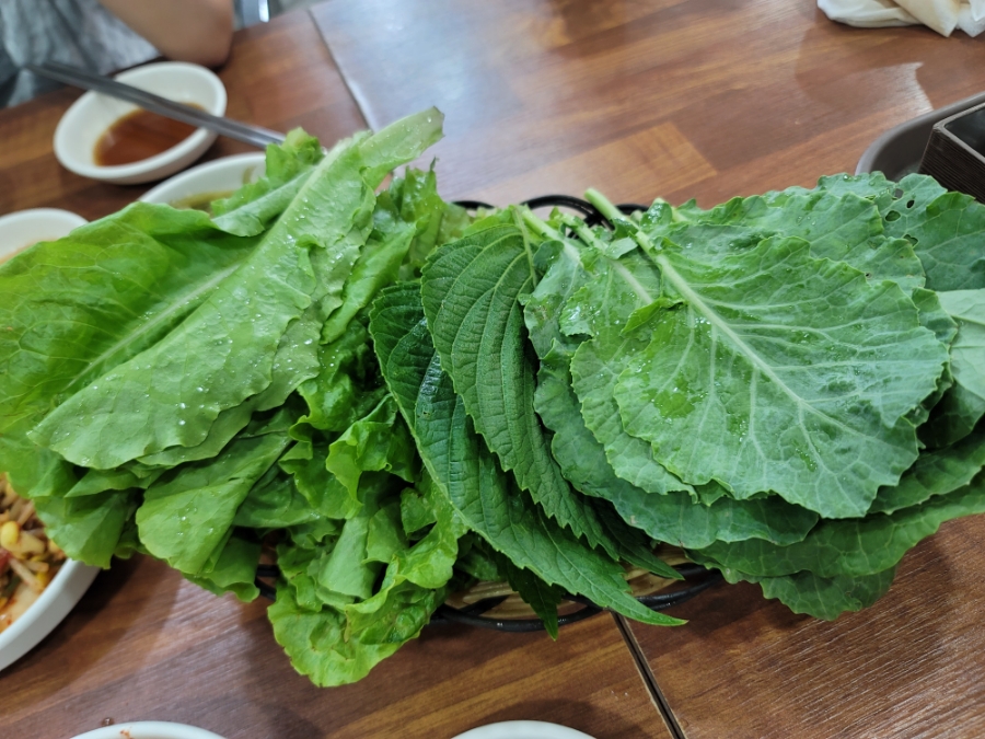 신미야채 이미지