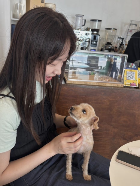 엠지떡볶이 이미지