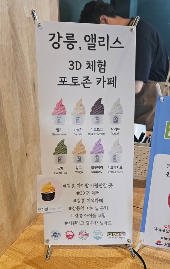 강릉;앨리스 이미지