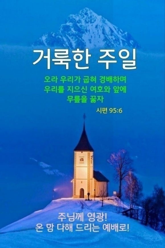프로스 이미지