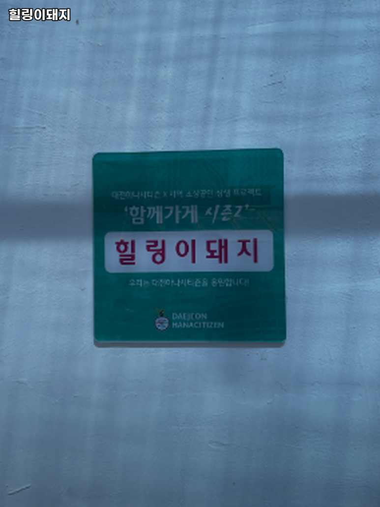 힐링이돼지 이미지