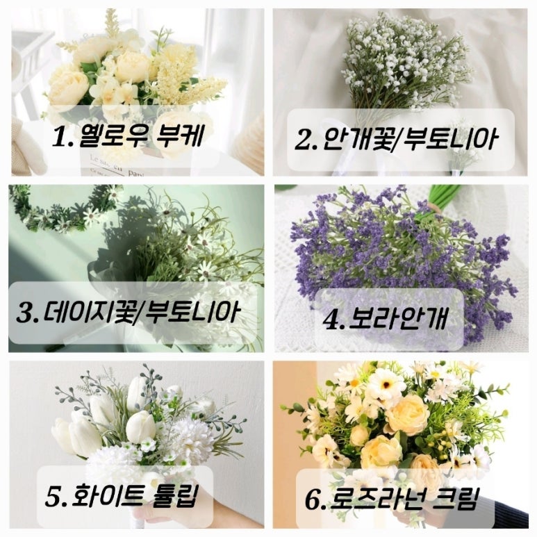 카이모 이미지