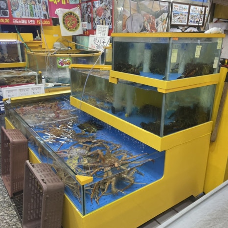 대성수산14호 이미지