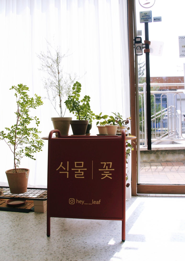 헤이리프 이미지