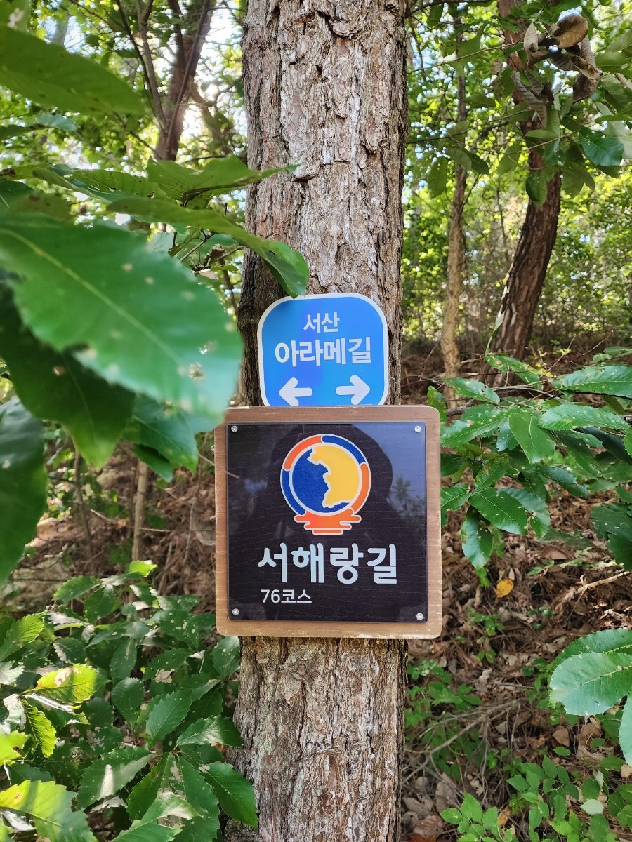 고부레 이미지
