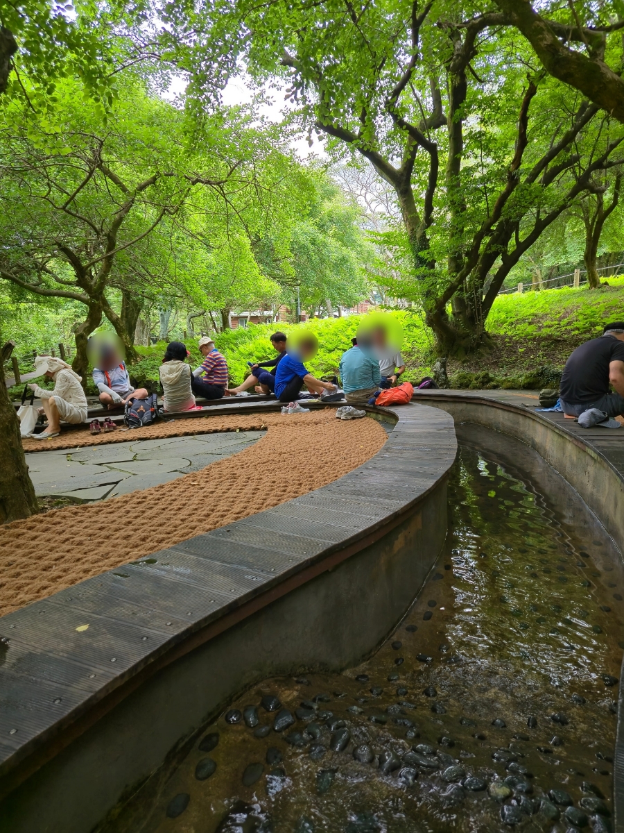 오태식해바라기치킨앤피자는치즈빨 이미지