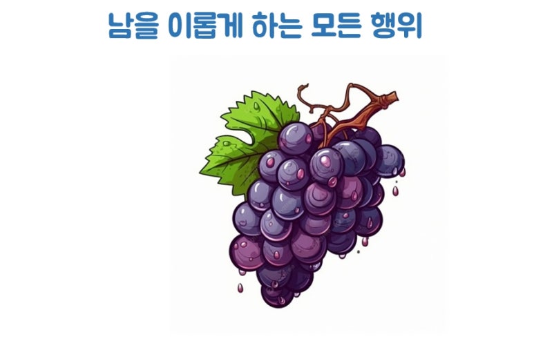 하늘과열매(주) 이미지