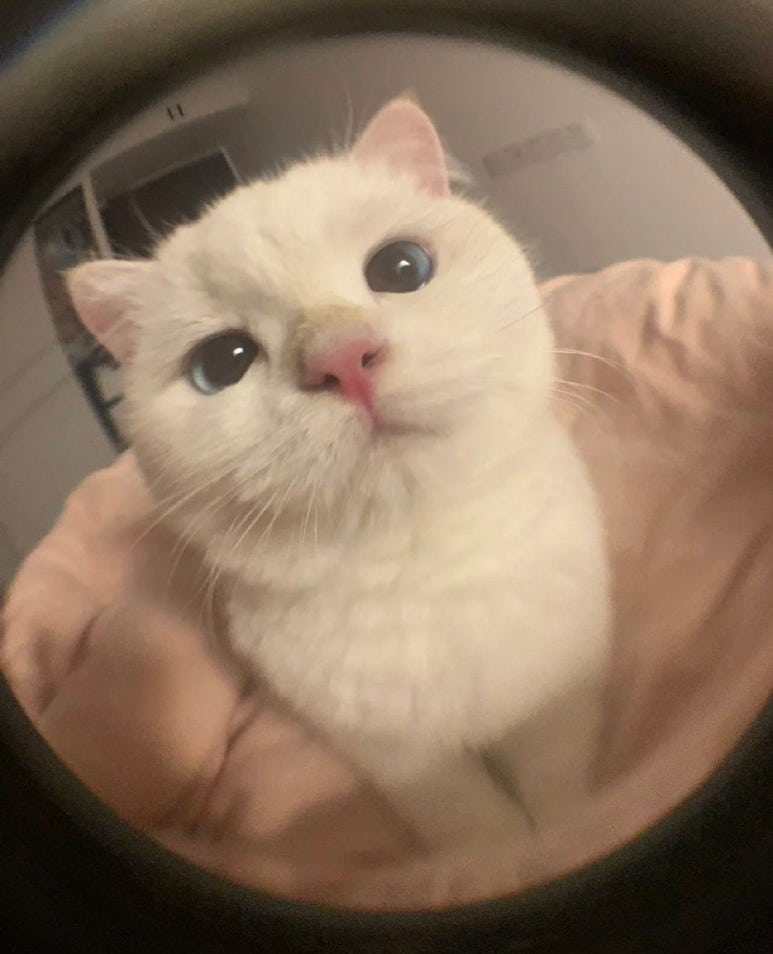 타오름달 이미지