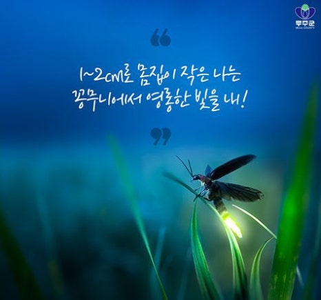 무주반딧불투어 이미지