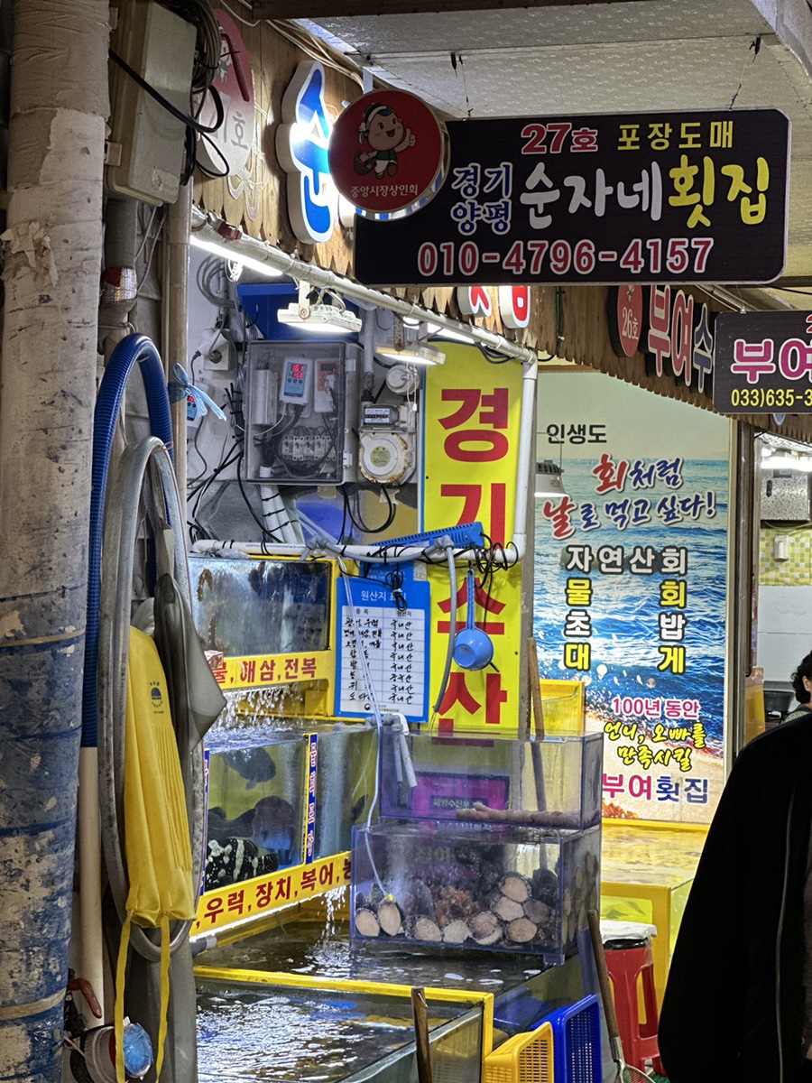 순자네횟집 이미지