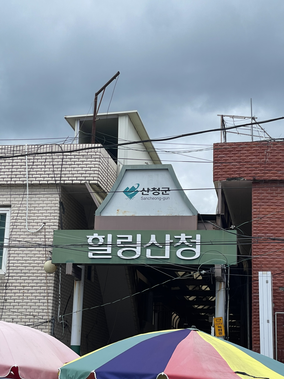 스테이외송 이미지