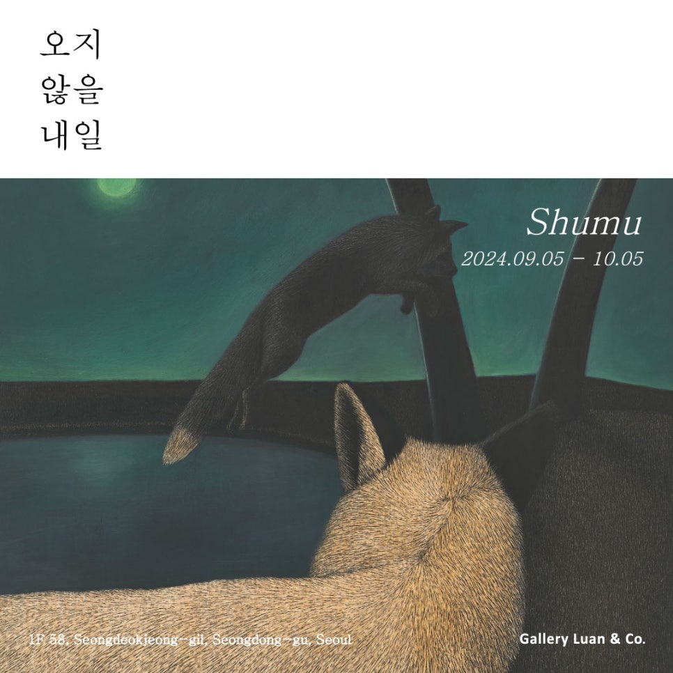 슈갤러리 이미지