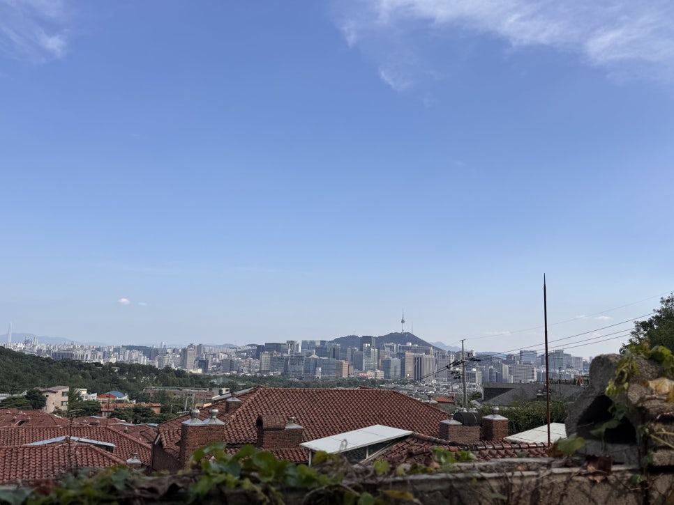 야정취 이미지