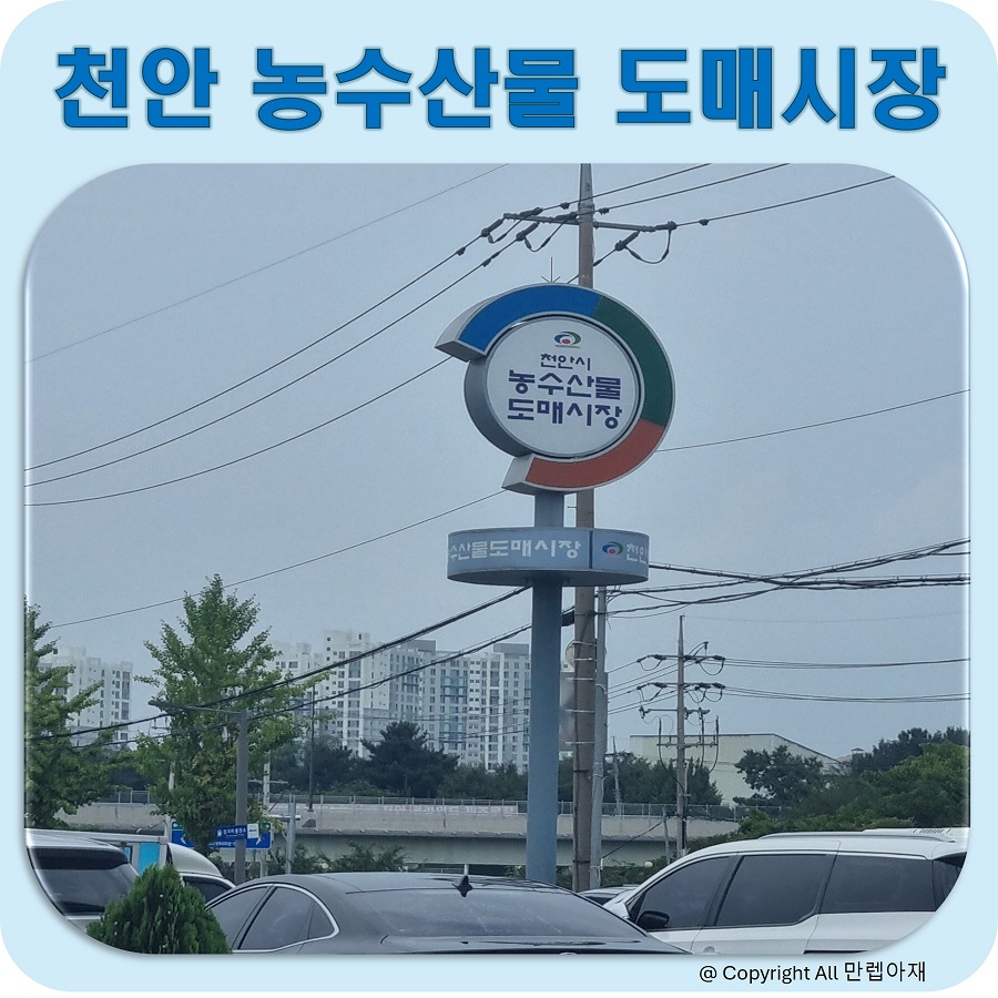 농수산물야채가게 이미지