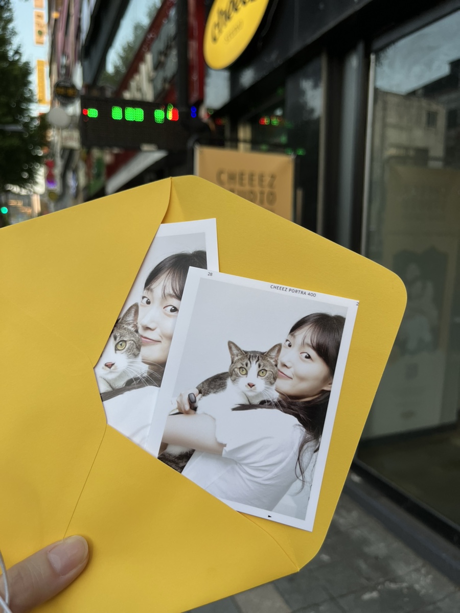 치이즈스튜디오 이미지