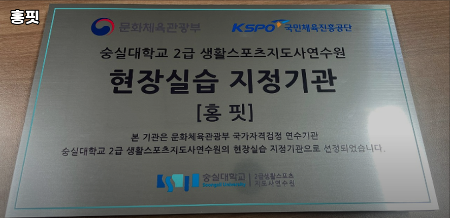 홍핏 이미지