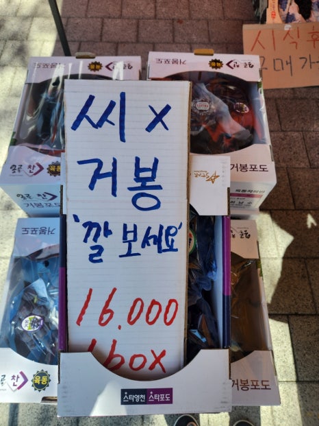 푸룻한세상 이미지