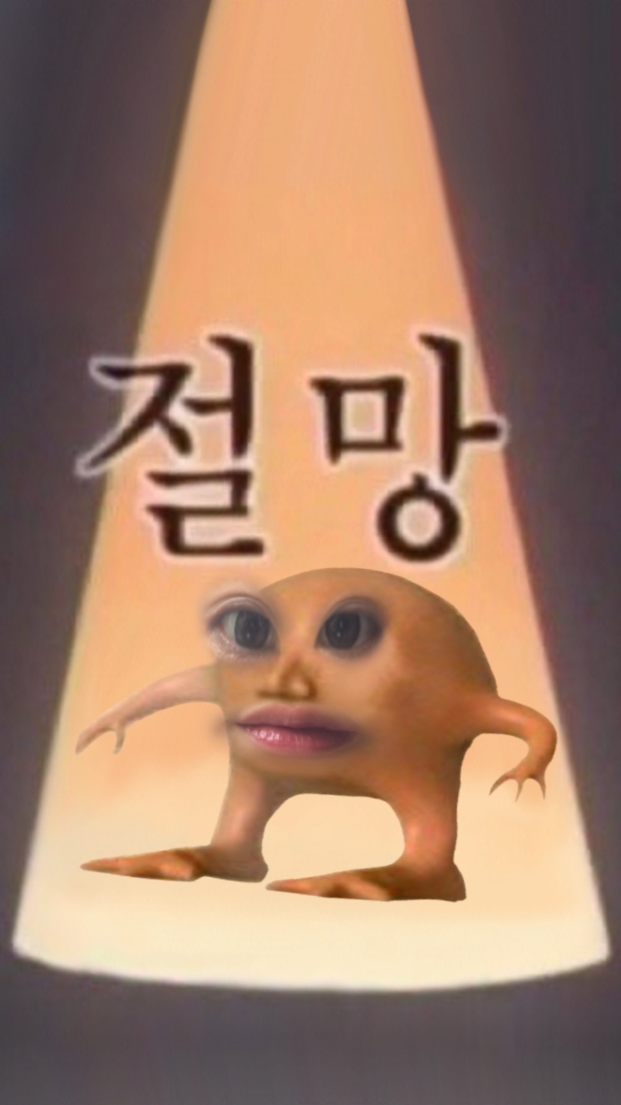 또옴 이미지