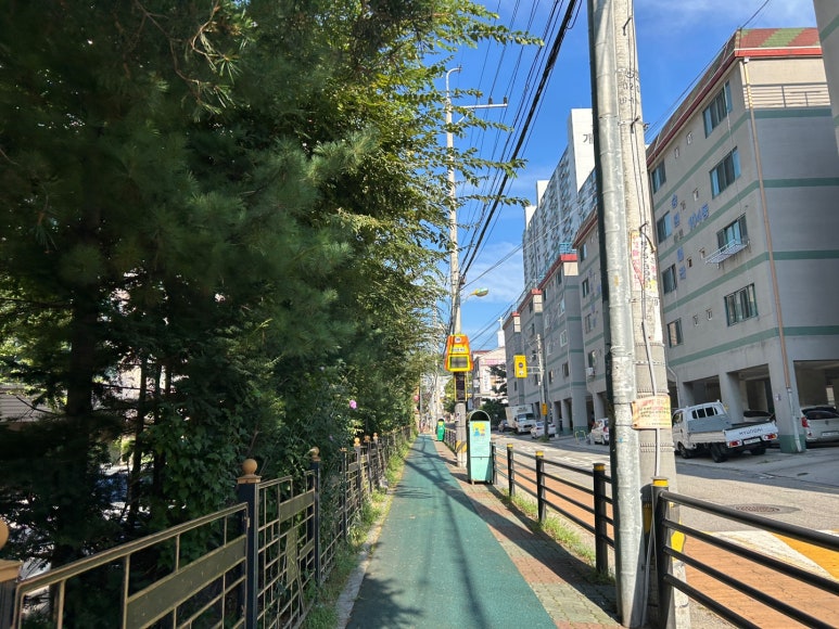 쌍용자동차호원서비스프라자 이미지