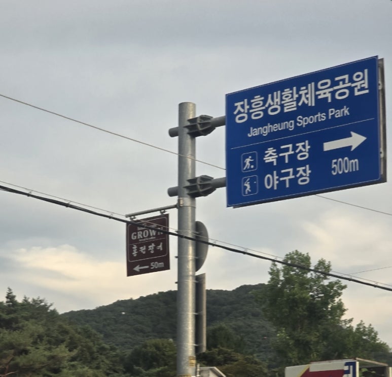 홍정장어 이미지