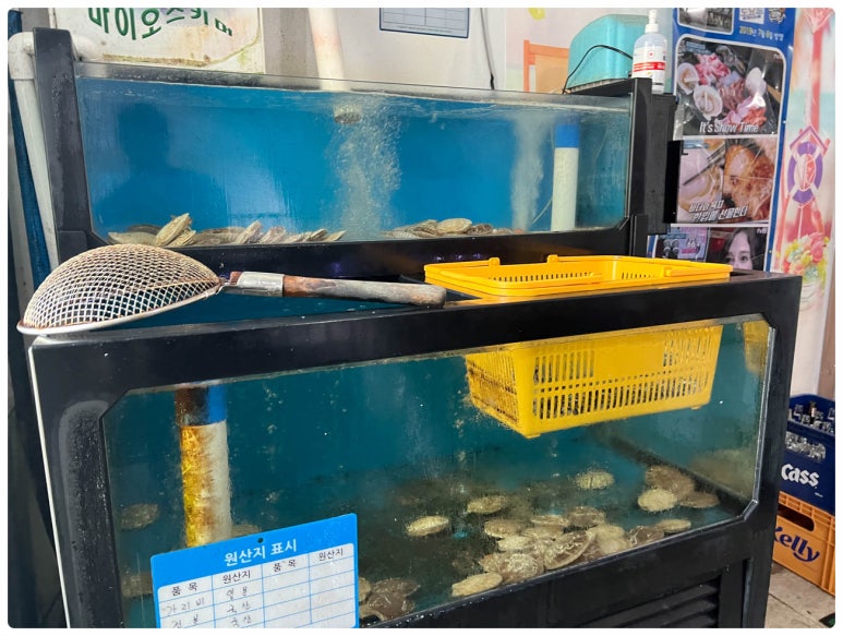 참치한판 이미지