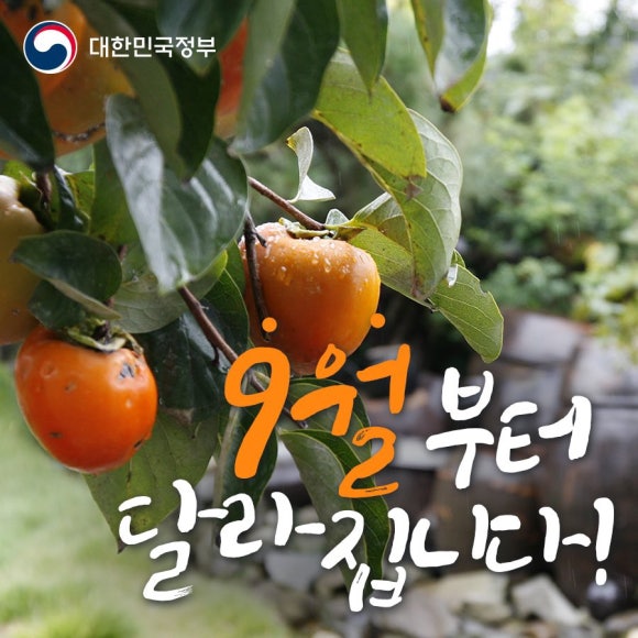 열라곱창 이미지