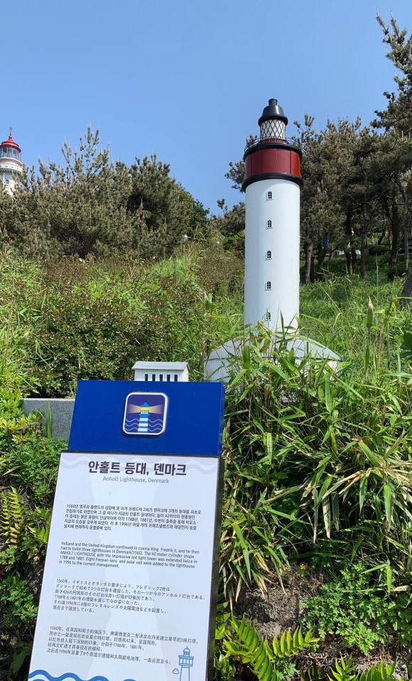 마호타 이미지