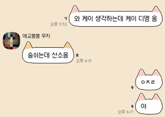 프리포우 이미지