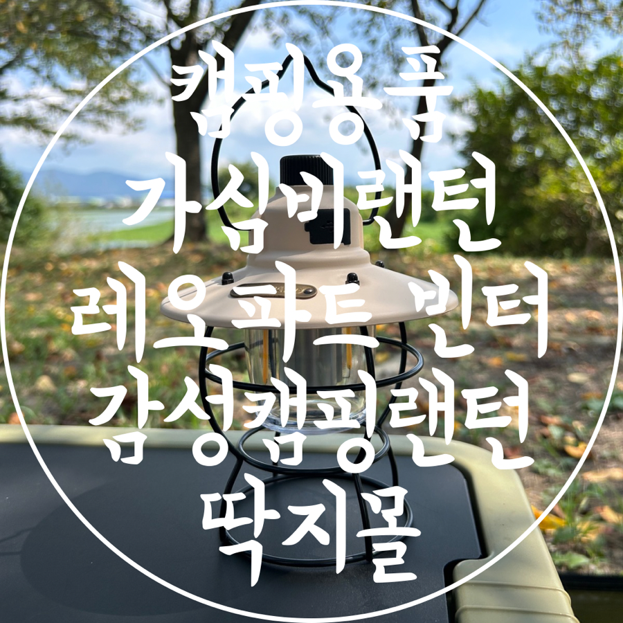 딱지몰 이미지