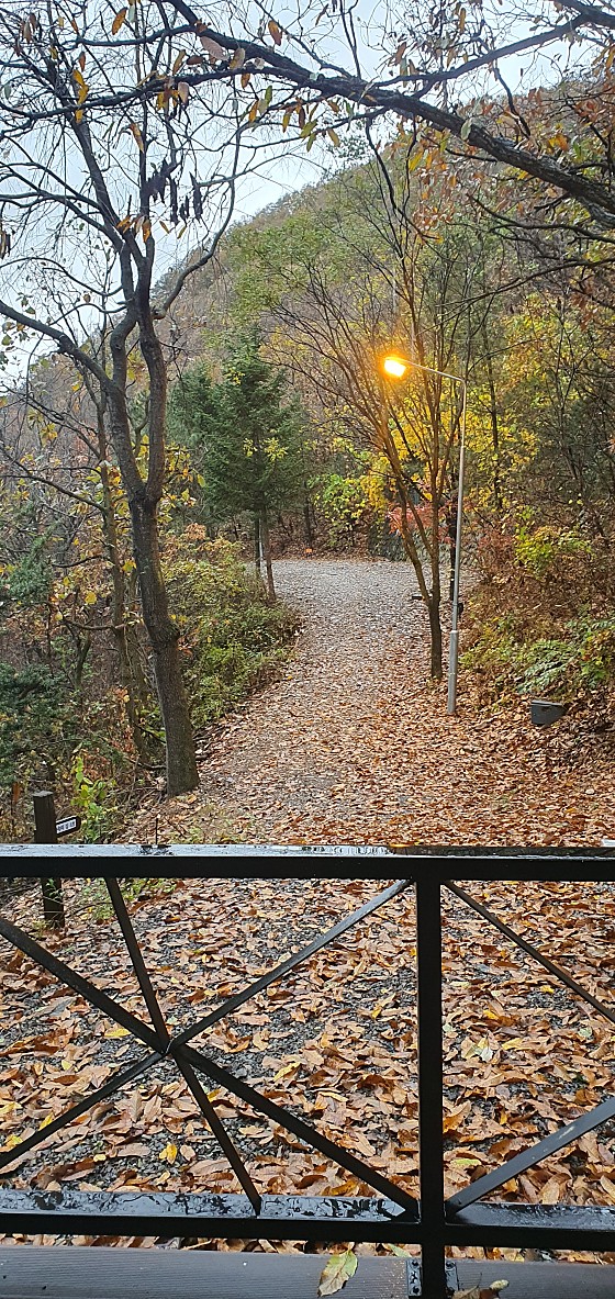 군위장곡자연휴양림 이미지