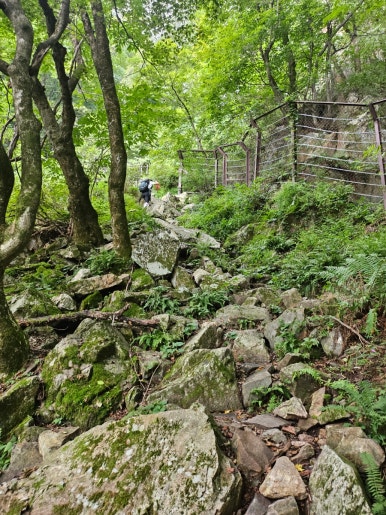 얼음골어부네매운탕 이미지