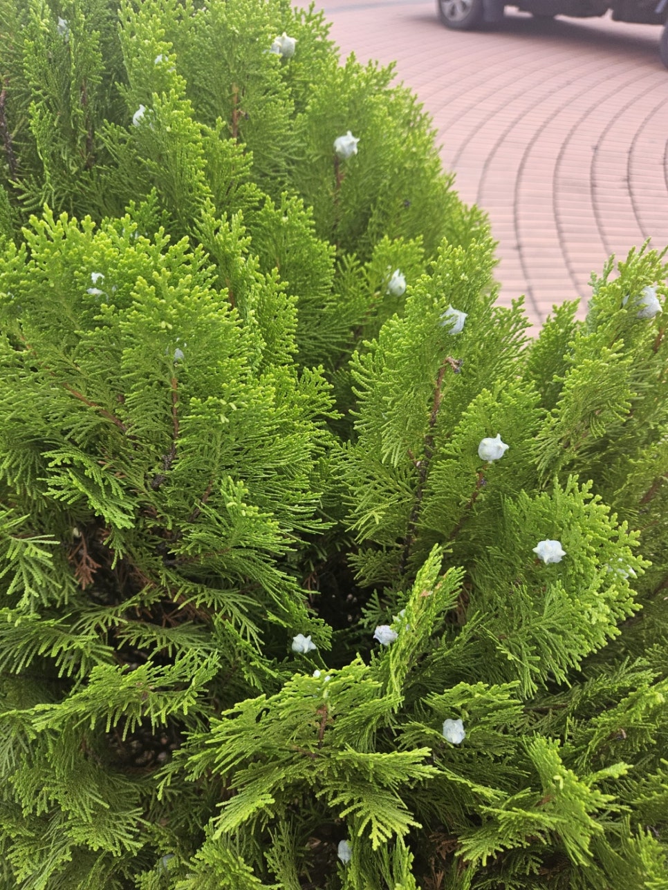 스튜디오윔지 이미지