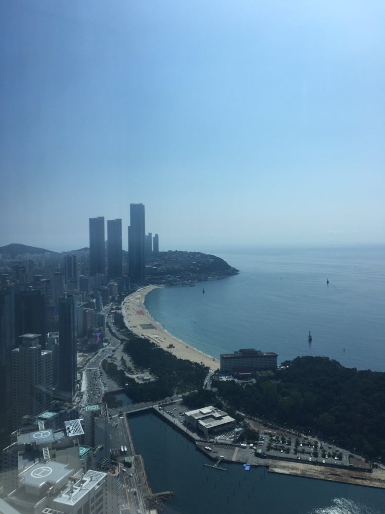 제니스클리닝 이미지