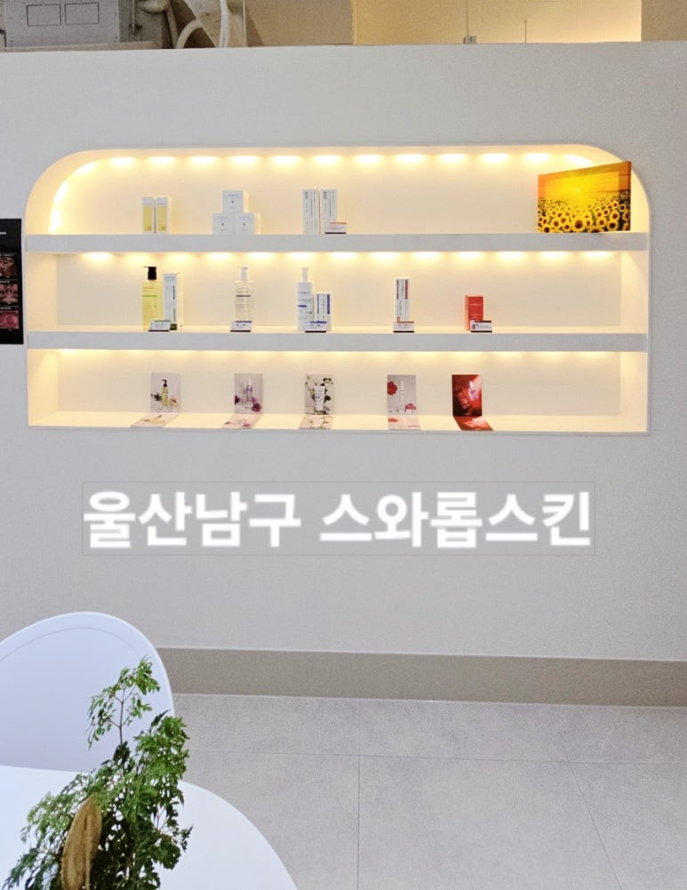 위브플래닝 이미지