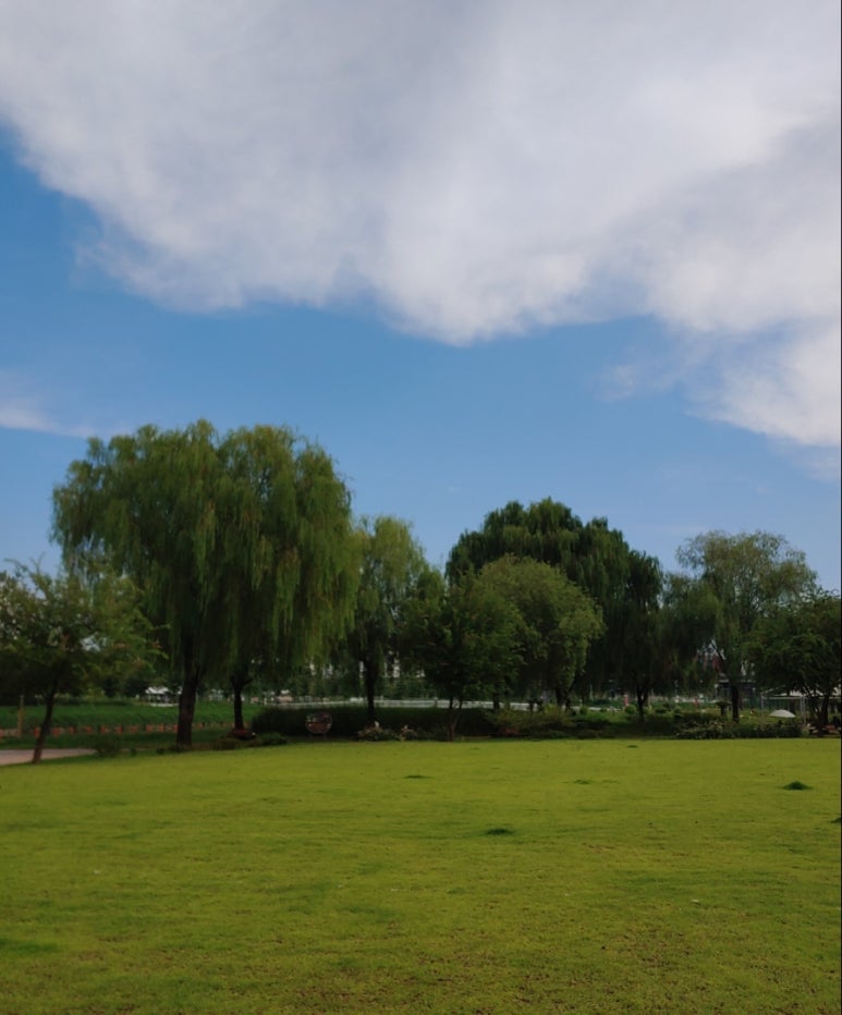 잔디밭 이미지