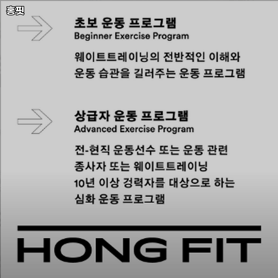 홍핏 이미지