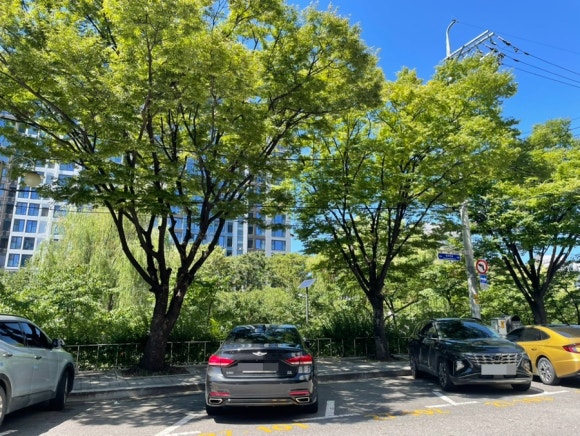 우맥원 이미지