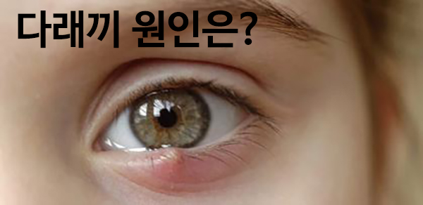나우써치 이미지
