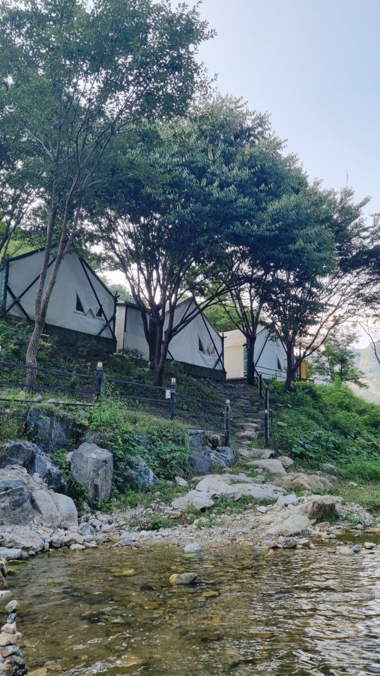 계룡산글램핑동월숲 이미지