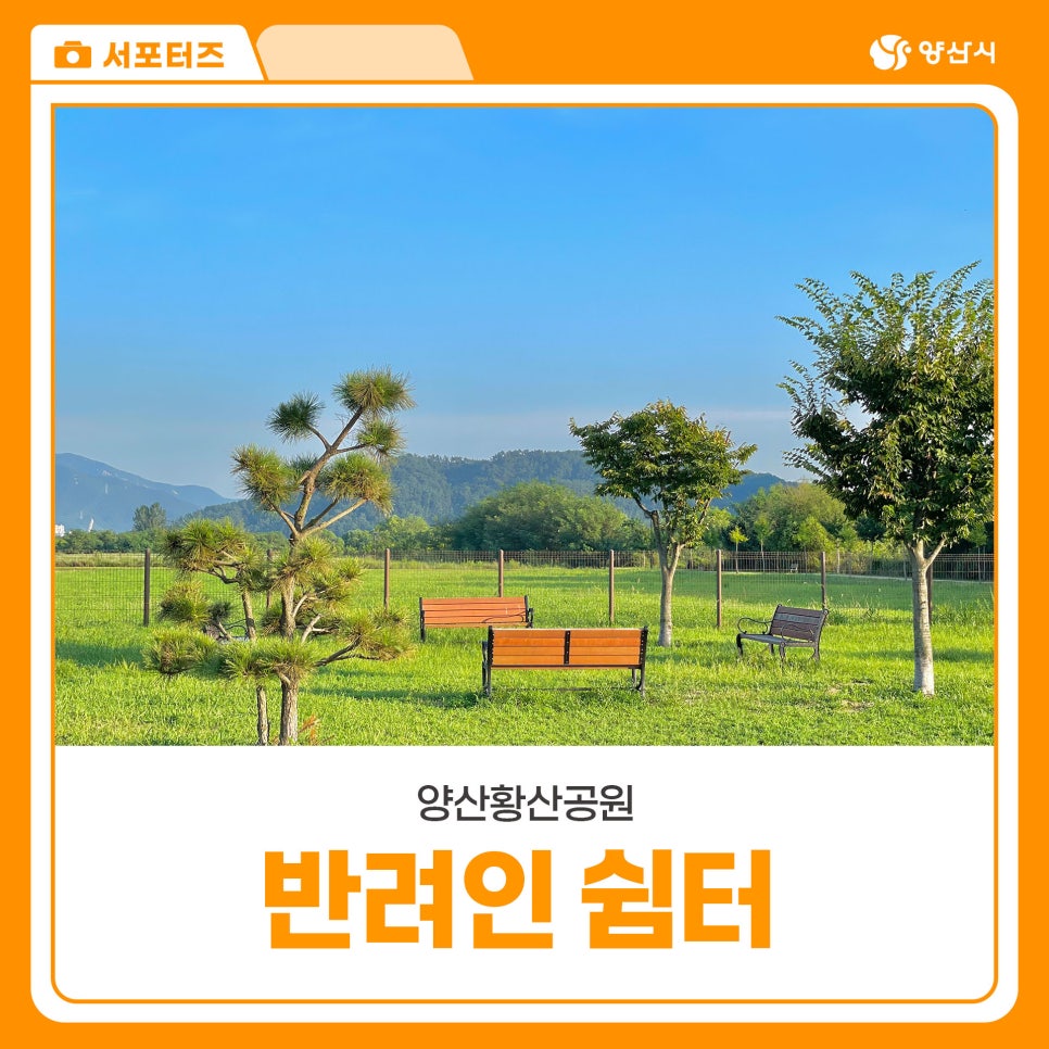 황산애견 이미지