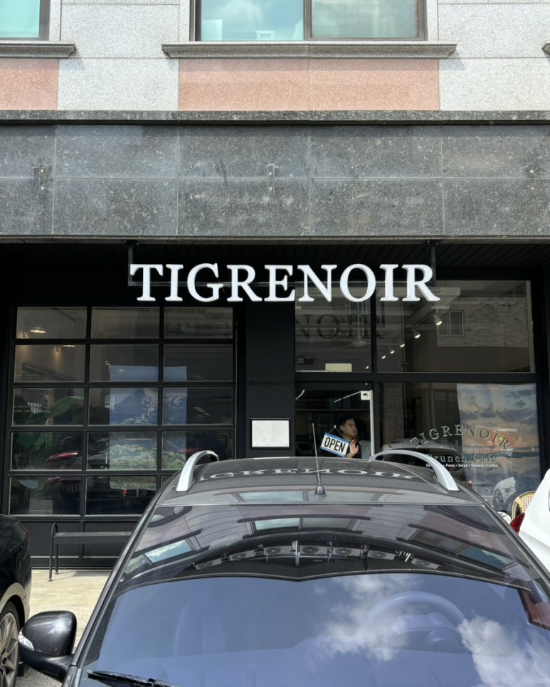 티그레노어 이미지