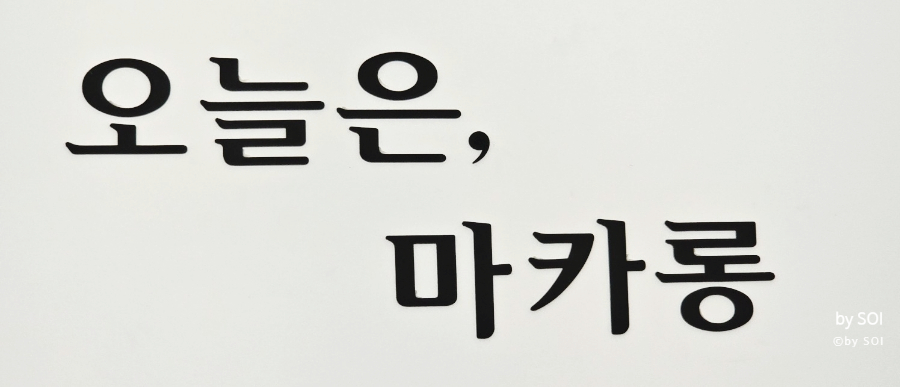 오늘은마카롱 이미지
