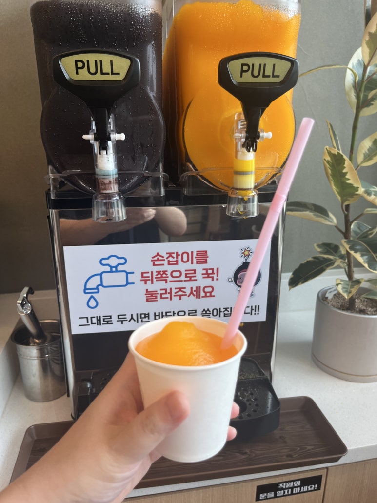 황금코다리수목원점 이미지