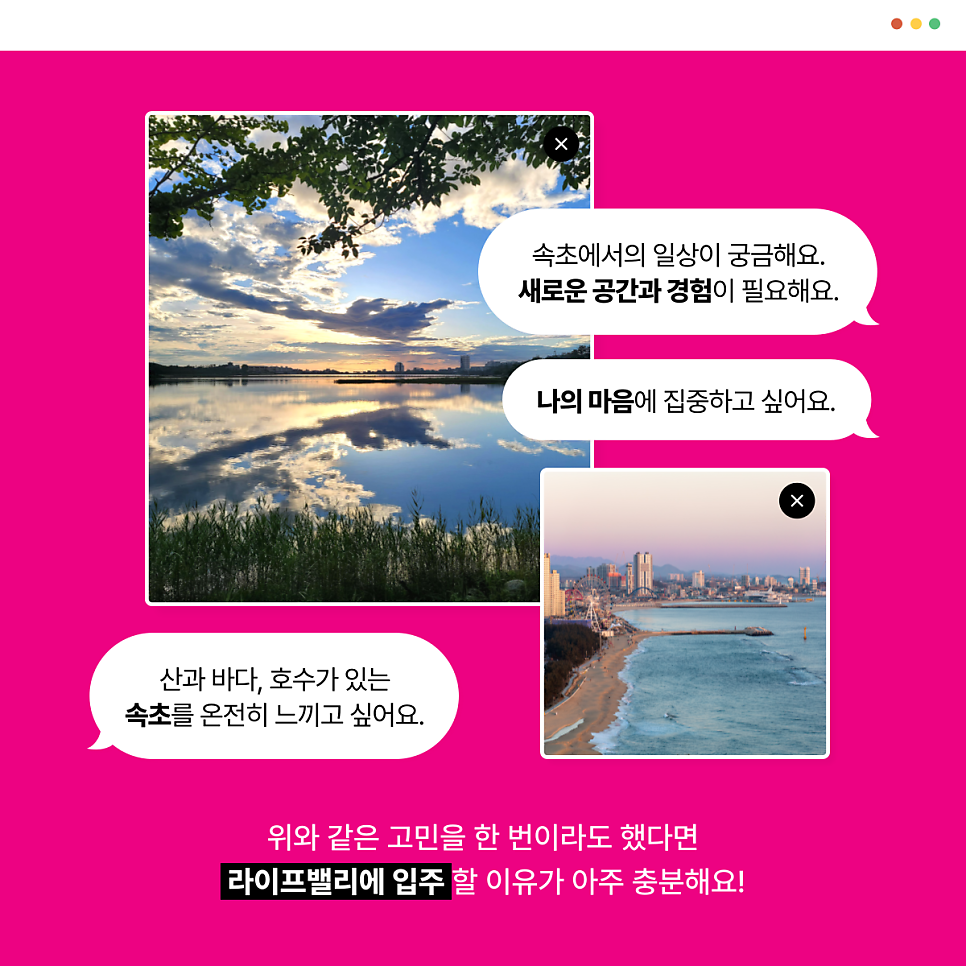 트리밸 이미지