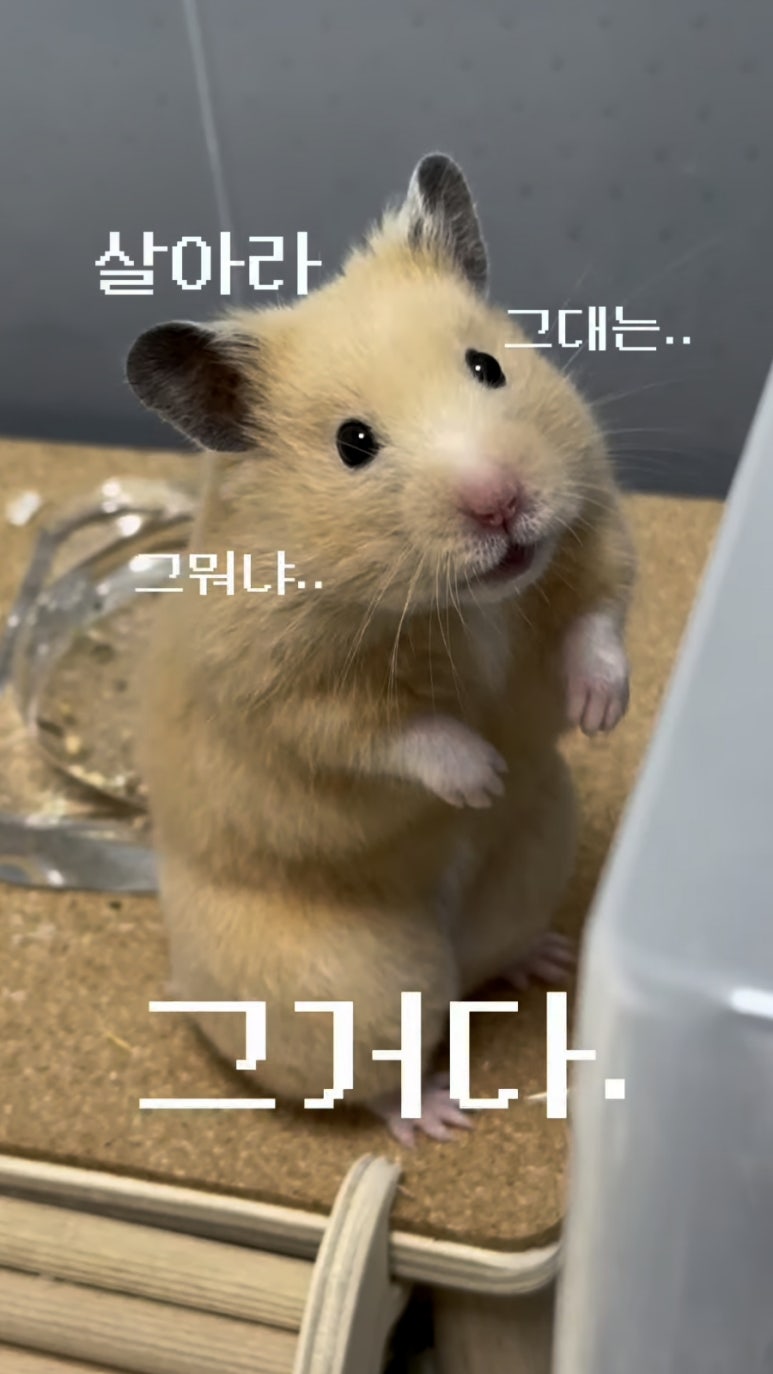돈워리 이미지