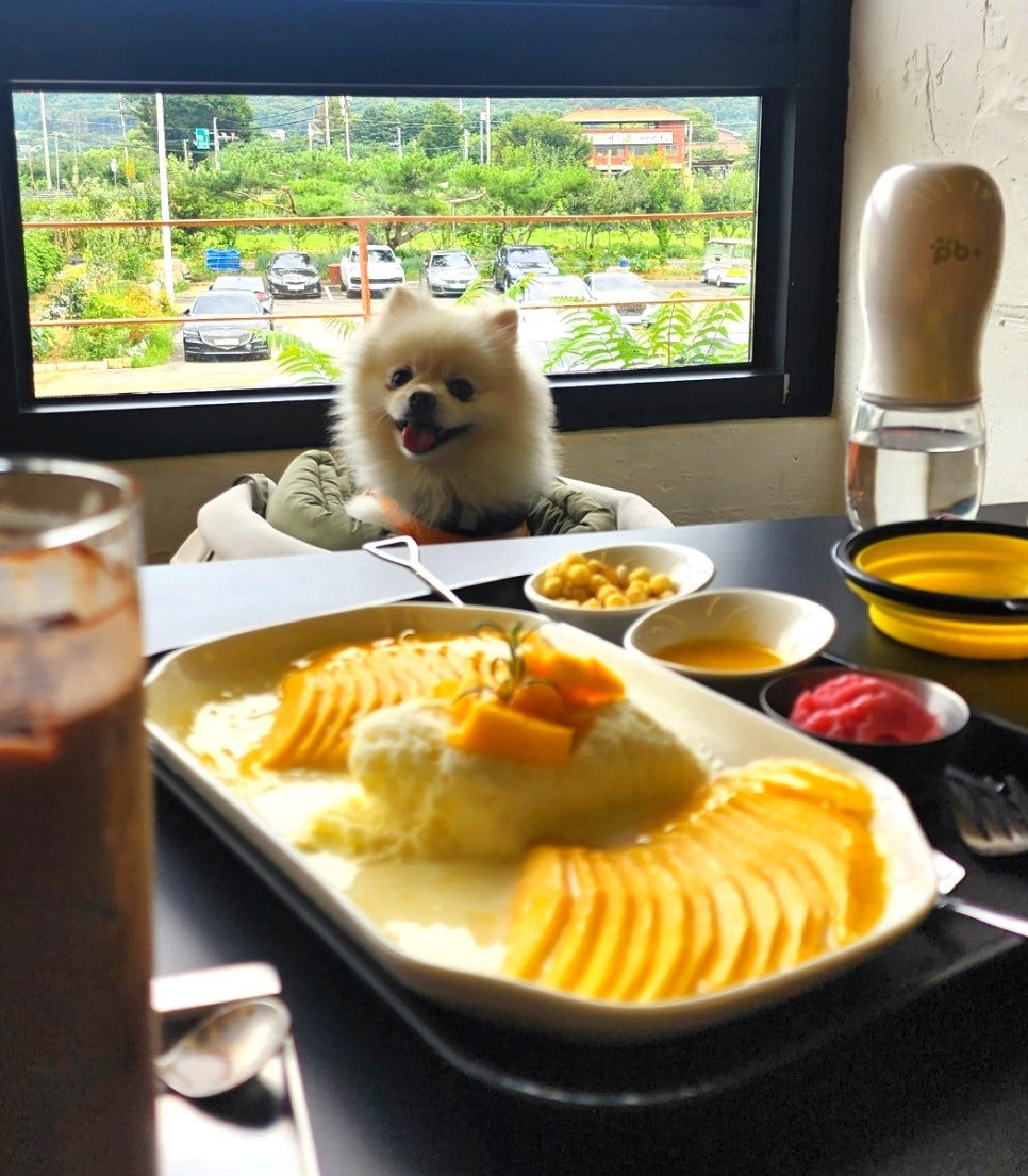 잇컾 이미지