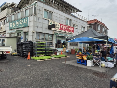 신평떡방앗간 이미지
