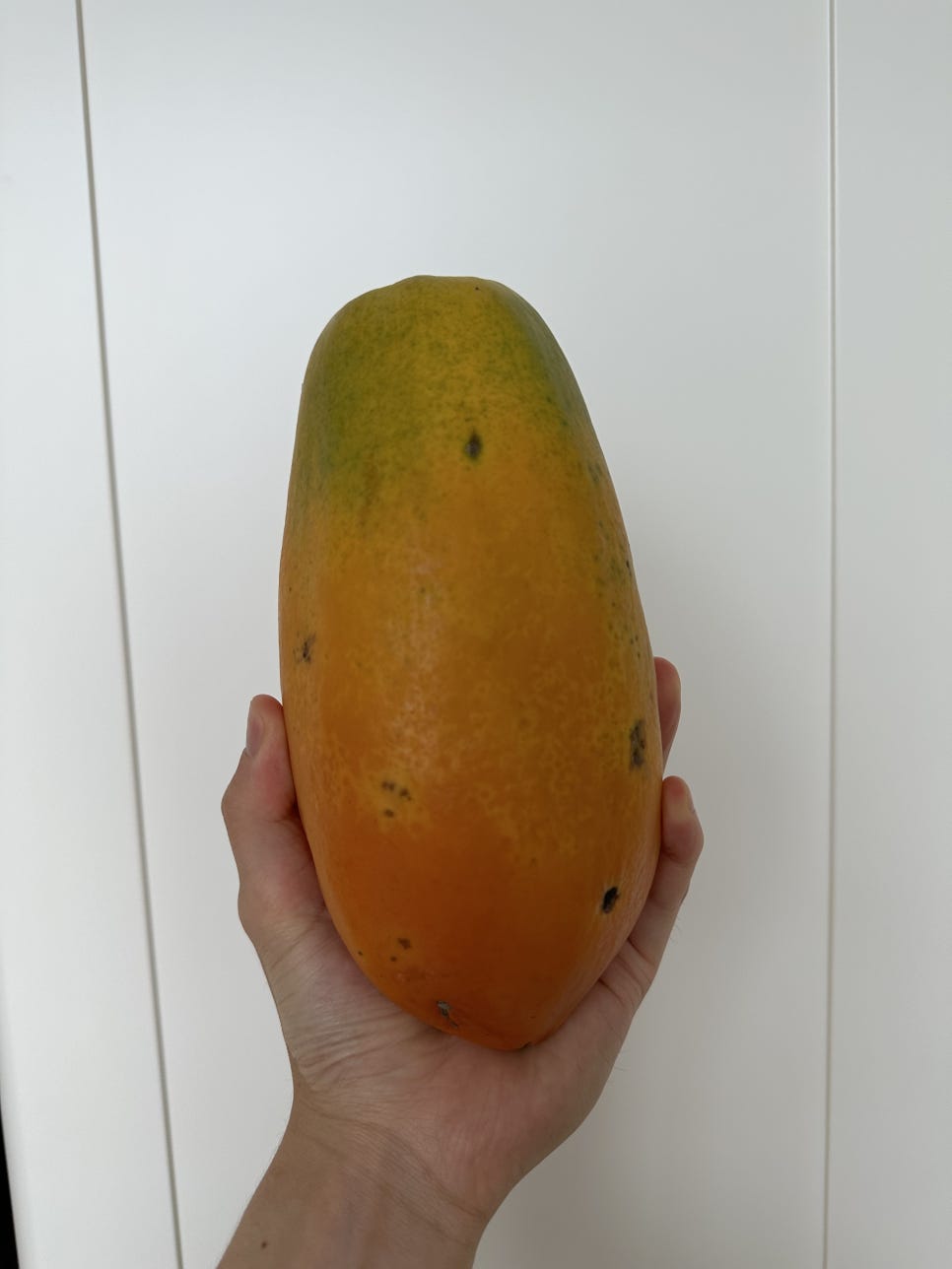 선우팜 이미지